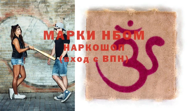 индика Нягань
