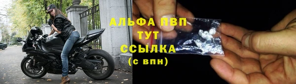 индика Нягань