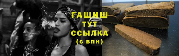 хмурый Няндома