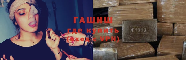 хмурый Няндома
