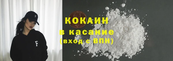 индика Нягань