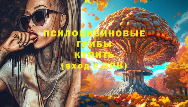 индика Нягань
