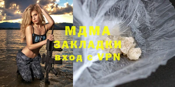индика Нягань