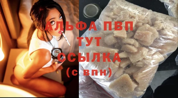 индика Нягань