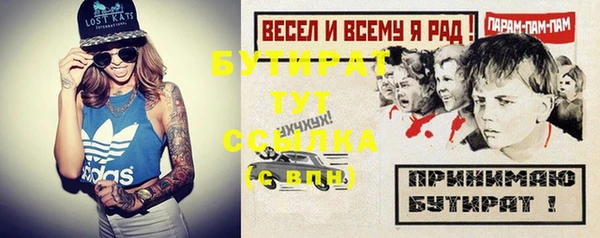хмурый Няндома
