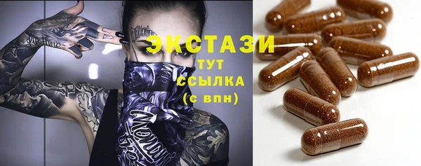 индика Нягань