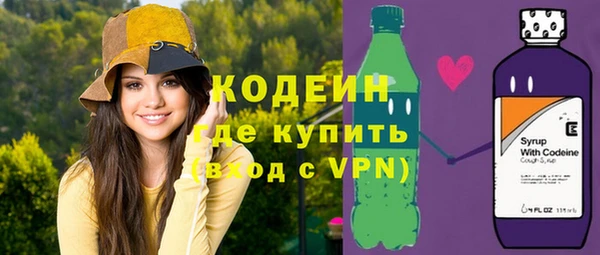 хмурый Няндома