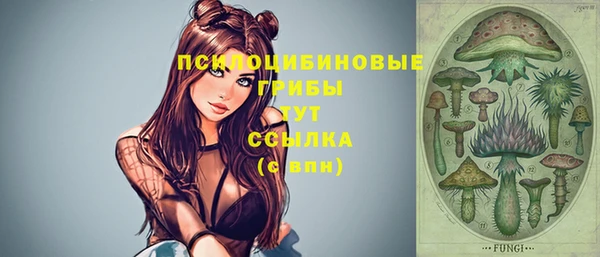 мескалин Новозыбков