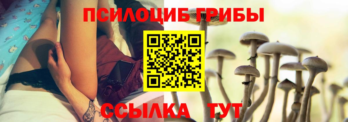 Псилоцибиновые грибы Cubensis  Ангарск  Галлюциногенные грибы мухоморы 